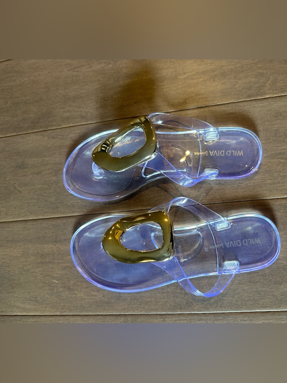 FashionNova Thong Jelly Sandals (size 7)